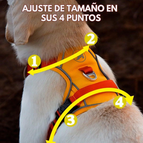 Pechera Arnés Reforzada Ajustable Para Perro Mediano Grande