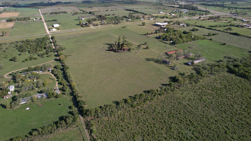 Imagen 8 de 30 de 12,5 Has Sobre Ruta 135 Ingreso A Colón Entre Ríos