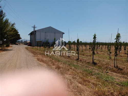 Imagen 21 de 30 de Agrícola En Venta En Curicó