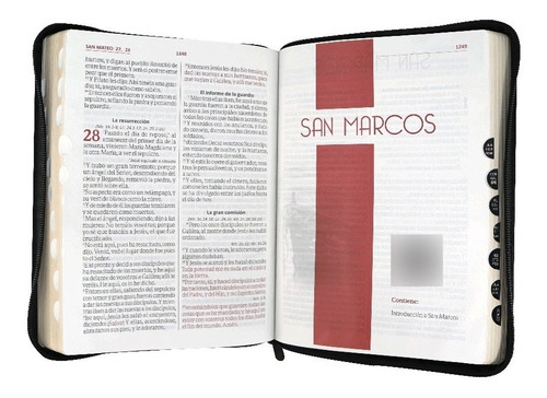 Imagen 3 de 5 de Biblia Reina Valera 1960 Letra Gigante Cierre Índice Gris Qr
