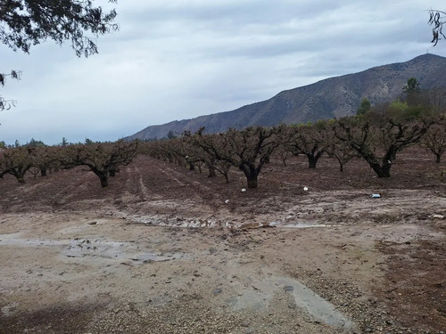 Espectacular Parcela Agroresidencial