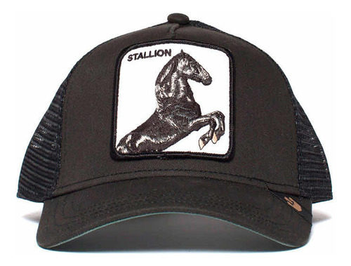 Gorra The Stallion Goorin Bros