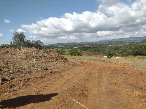 Imagem 11 de 14 de (k.a) 10 Minutos De Guararema - 800m Da Estrada