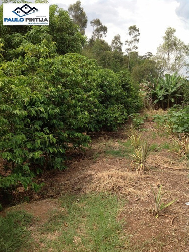 Imagem 24 de 29 de Sitio Em Cardeal (elias Fausto) Com Casa Sede, Lagos, Pista De Hipismo, Baias De Cavalo E Lindo Paisagismo - St00058 - 33668276
