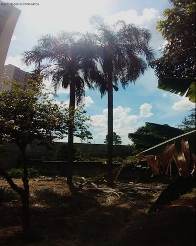 Imagem 19 de 23 de Terreno À Venda Jardim São Carlos - Sorocaba/sp - Tr03986 - 70736277