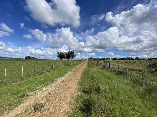 Venta Chacra 10 Hectáreas Ruta 104 Manantiales