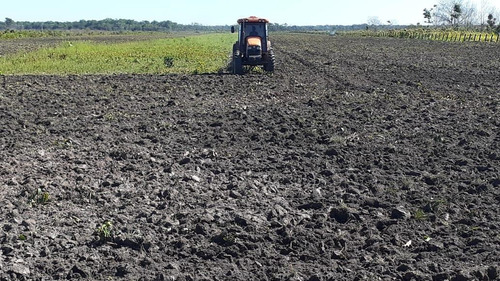 Imagem 11 de 13 de Fazenda 10600 Hectares, Acesso Asfaltado, Rica Em Água Com Lago, Planta 6000 Hectares, Topografia Plana, Casas Sede E Caseiro, Curral, Barracão - Fa00252 - 70762252