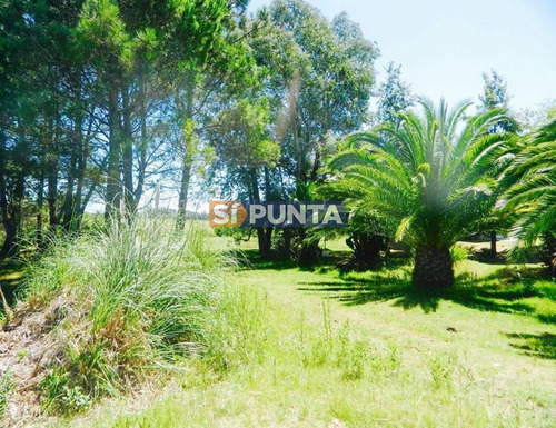 Imagen 2 de 12 de Posada A La Venta