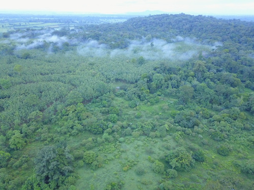 Imagen 5 de 10 de Excelente Finca, Lo Que Busca , Agrícola, Ganadera, Bosque