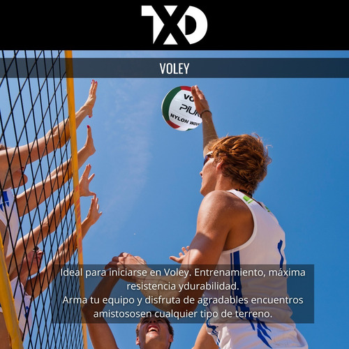 Pelota Voley Cuero Sintético Tricolor Entrenamiento Volley