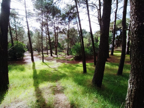 Imagen 2 de 4 de Lote Comercial 675 M2 Mar De Las Pampas En Pleno Centro
