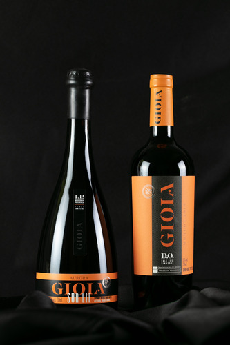 Vino Fino Tinto Gioia Merlot Aurora D. O. Samba Brasil