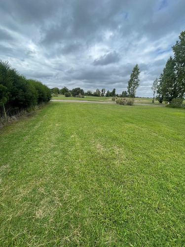 Imagen 12 de 15 de Lote En Venta En El Golf, Nordelta, G.b.a. Zona Norte