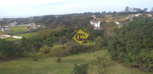 Imagem 8 de 16 de Chácara Com 2 Dormitórios À Venda, 29500 M² Por R$ 3.600.000,00 - Mar Do Norte - Rio Das Ostras/rj - Ch0015