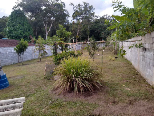 Imagem 7 de 9 de Chácara Em Itanhaém, Aceita R$70mil De Entrada! - Ch050 Lc