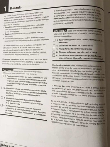 Imagen 6 de 9 de Netter. Cuaderno De Anatomía Para Colorear 2a Revisada!!