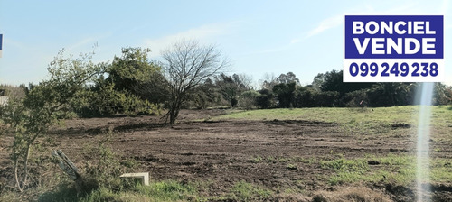 Amplio Terreno En Excelente Ubicación