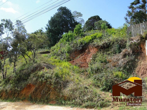 Imagem 3 de 15 de Lote À Venda - 2079