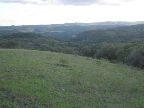 Campo En Venta