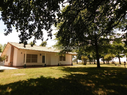 Imagen 12 de 22 de Terreno Campo En Venta Ubicado En General Rodríguez, G.b.a. Zona Oeste