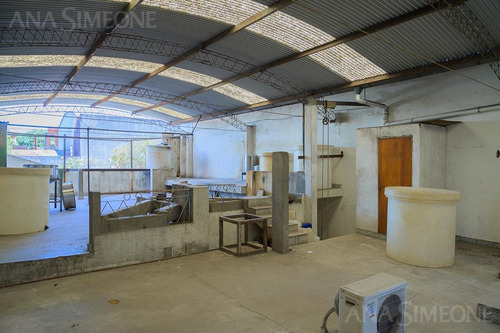 Imagen 10 de 15 de Nave Industrial Con Oficinas - Villa Martelli
