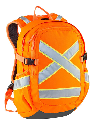 Caribee Switchback - Mochila Reflectante Y Resistente De Alt