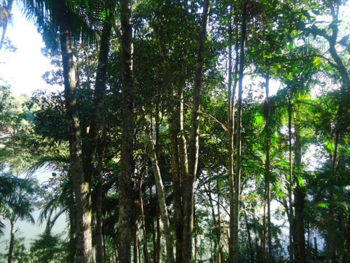 Imagem 11 de 14 de Bela Chácara Linda Vista Represa Ref 1198