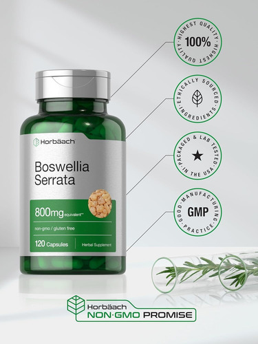 Boswellia Serrata 800 Mg X 120 Capsulas - Horbaach Sin Sabor