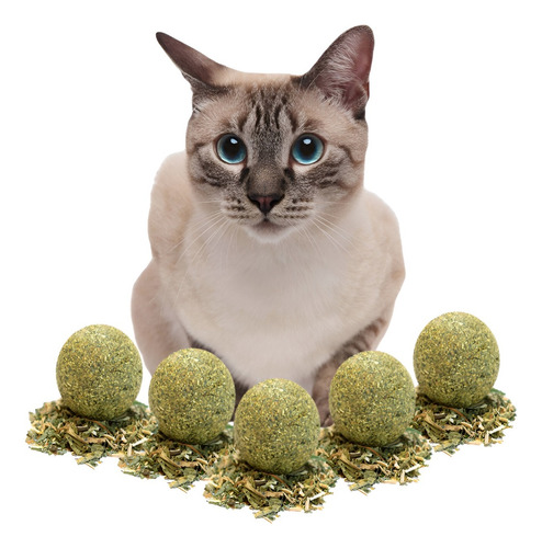 X5 Bolas Catnip Cosas Gatos Hierba Gatuna Juguete Bola Gatos