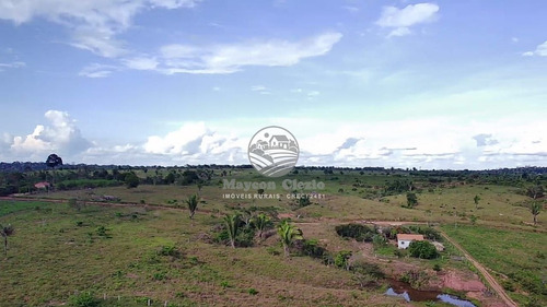 Imagem 6 de 8 de Venda Sítio Theobroma Em Rondônia - Sig347