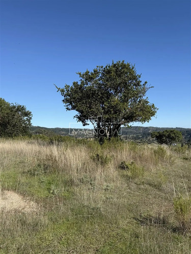 Parcela En Venta Con Vista Al Mar, Pupuya, Matanzas