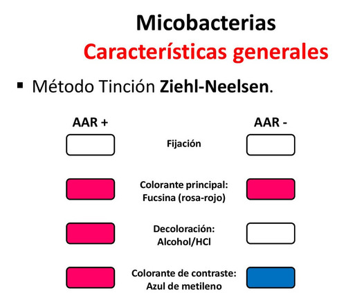 Tinción De Ziehl-neelsen / Kit Completo - 100ml - Caflab -