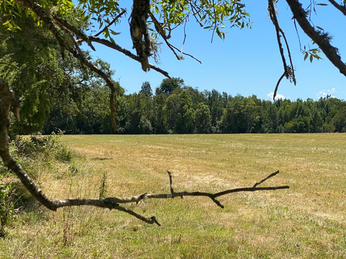 Hermoso Campo De 100 Ha. En Venta  Muy Cerca De Frutillar