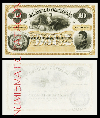 Billete 10 Pesos Fuertes Banco Nacional 1873 - Copia 653s
