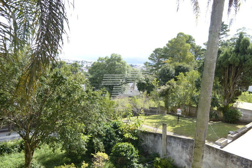 Imagem 6 de 11 de Terreno Com 754m² No Bairro Guabirotuba, Sendo 14 Frente X 52 Fundos - Re61431901