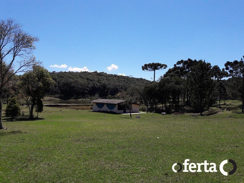 Imagem 2 de 15 de Chacara Com Casa - Sao Dimas - Ref: 439 - V-439