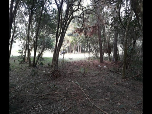 Chácara 5.000 M² - Morungava - Gravataí - Rs - 1916 - 32875112