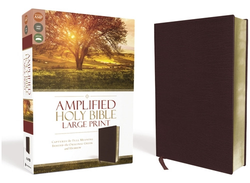 Libro Amplified Bible-am-large Print: Captures The Full M...