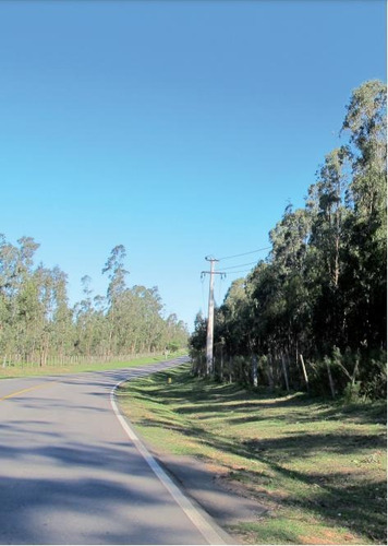Imagen 5 de 7 de Terreno - La Barra