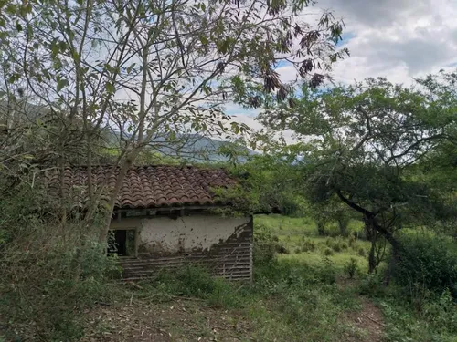 Finca En Venta En Yotoco. Cod V8605