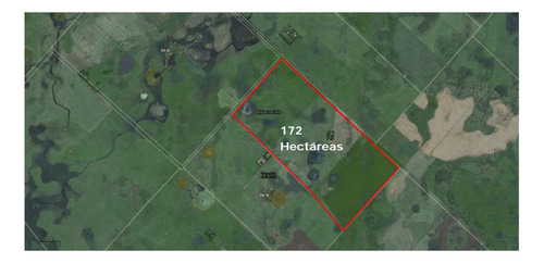 Venta Campo 172 Has Partido De Ayacucho. A 3 Km De Ruta 74