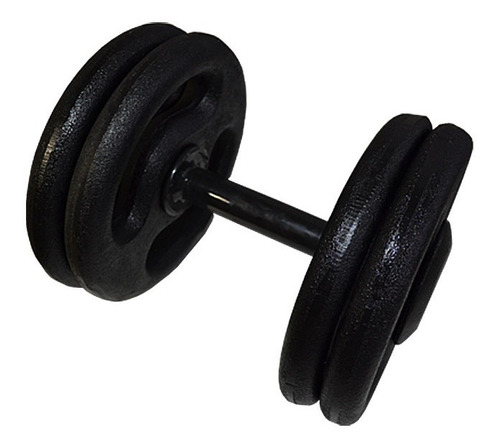 Dumbell Pintado Par De 12 Kg A 30 Kg  Com Suporte 