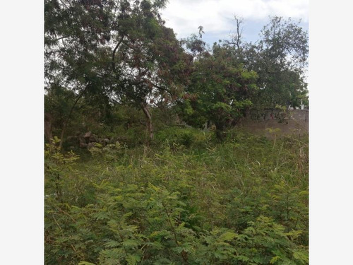Imagen 12 de 14 de Venta Terreno Del Bosque