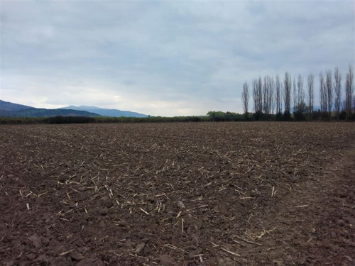 Sector Pencahue| (74921)