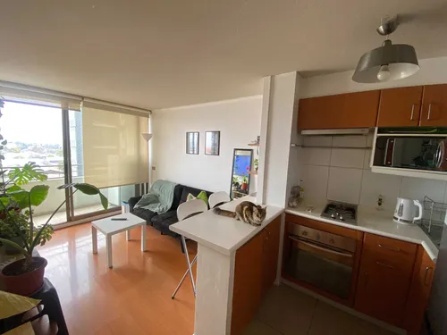 Buena Ubicación, Excelente Conexión 2d1b (98904)
