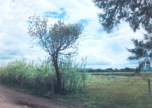 Excelente Inversión Terreno San Miguel De Allende