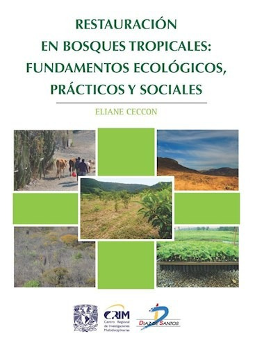 Restauracion En Bosques Tropicales, De Eliane Ceccon. Editorial Diaz De Santos, Tapa Blanda, Edición 2017 En Español