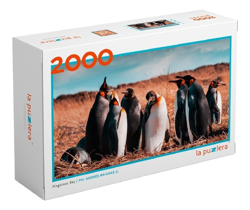 Puzzle 2.000 Piezas Animales: Pingüino Fauna Chilena