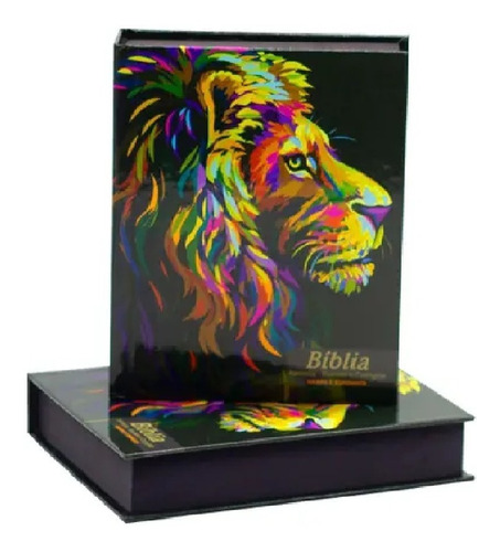 Bíblia Capa Dura Jesus Média Com Harpa 16 Cm