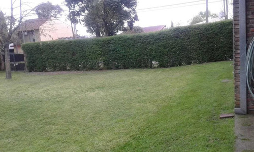 Imagen 10 de 14 de Terreno - Villa Rosa